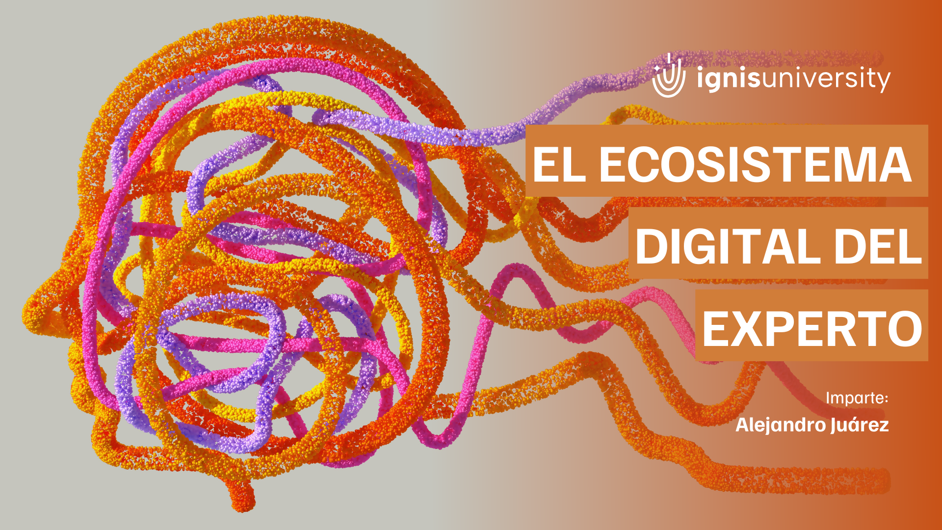 Ecosistema Digital del Experto
